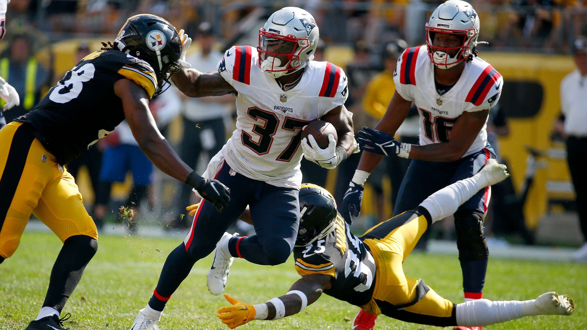 深圳南岭铁狼勇夺2024五人制足协杯冠军荣耀归来